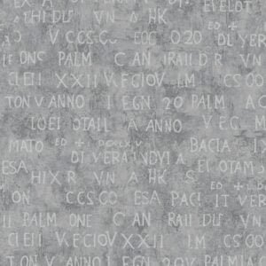 Papel Pintado Cardoso Bahia: BH2440a